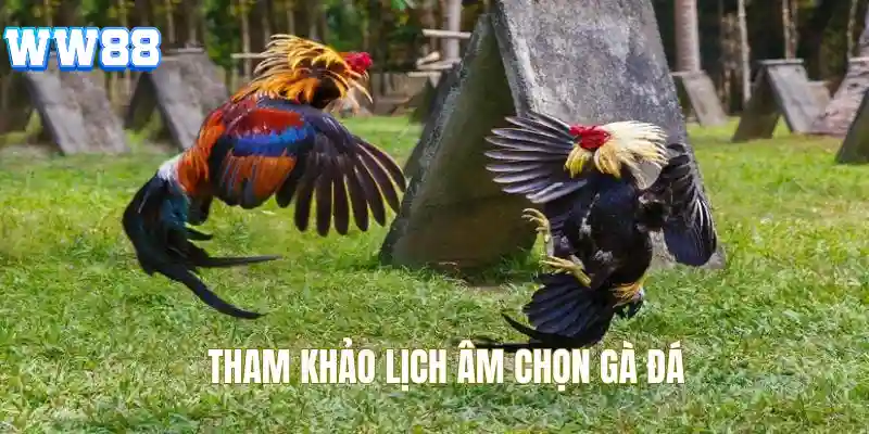 Cách xem lịch đá gà đẹp chi tiết theo âm lịch