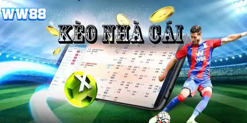 Lựa chọn thời điểm vàng để đặt cược