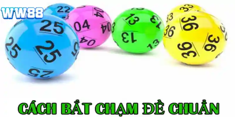 Phương pháp đánh bắt chạm