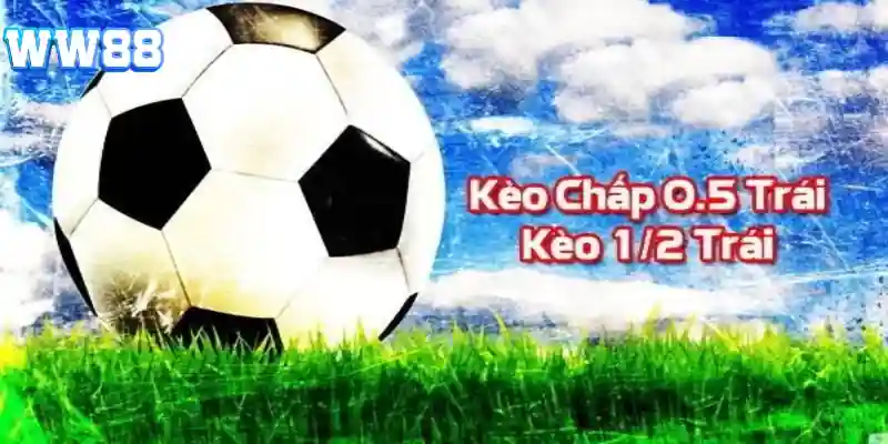 Tỷ lệ cá cược bóng đá chấp 1/2