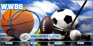 Nhận định nhà cái ww88
