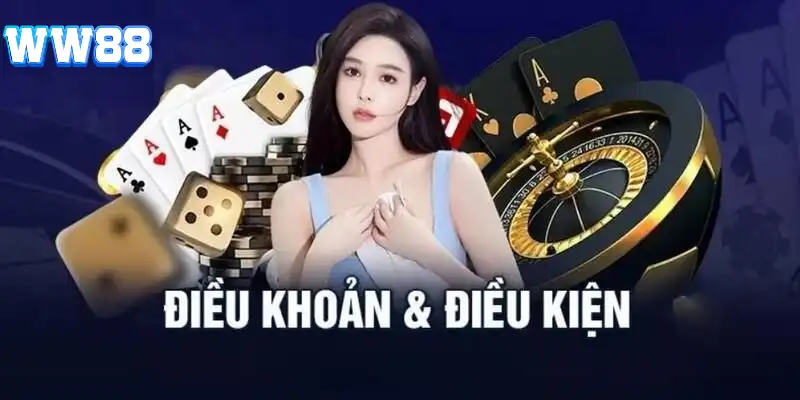 Các quy định quan trọng trong điều khoản và điều kiện